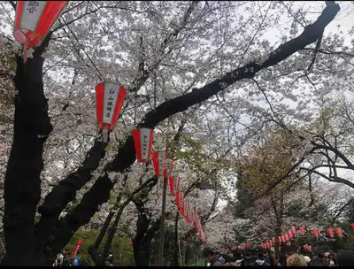 a group of red and white kites hanging from a tree at 202 Yamanote Line Near Ueno Newly Built Cozy Apartment in Tokyo