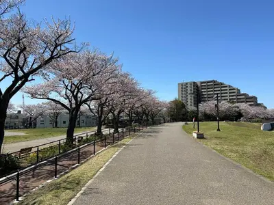 a path withakura trees in a park with a building at bai\u5965\u62382\u4e01\u76ee in Tokyo