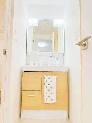 a bathroom with a sink and a mirror at \u6587\u4eac\u30cf\u30a6\u30b9301 in Tokyo