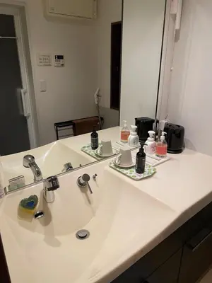 a bathroom counter with a sink and a mirror at Lily in Tokyo