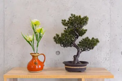 two vases sitting on a wooden table with a plant at \u539f\u7530\u5c4b Hotel 7F in Tokyo