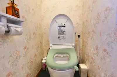 a bathroom with a toilet with a green seat at \u677f\u6865\u533a\u5927\u5c71\u5bb6\u5ead\u6700\u6b22\u8fce in Tokyo