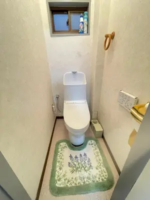 a bathroom with a toilet with a green and white rug at \u8c4a\u5cf6\u5927\u585a\u685c\u6c11\u5bbf in Tokyo
