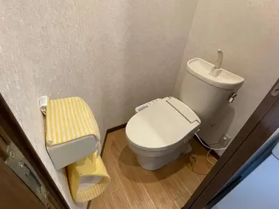 a small bathroom with a toilet and a sink at \u8c4a\u5cf6\u5927\u585a\u685c\u6c11\u5bbf in Tokyo
