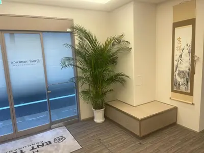 a potted plant in an office waiting room at ENT TERRACE Asakusabashi in Tokyo