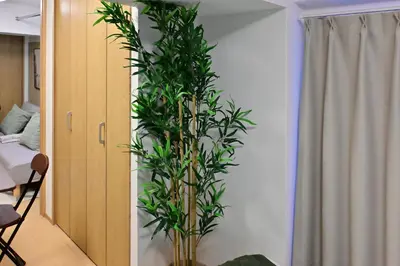 a living room with a plant in the corner at Karawaru Stay \u5e73\u4e95 A in Tokyo