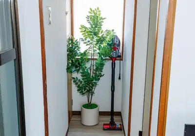 a hallway with two potted plants and a window at Cruise Inn Kameari in Tokyo