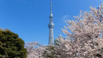 a tv tower in the background with trees and flowers at 901 5mins from JR Kinshicho! Near Asakusa&Skytree! in Tokyo