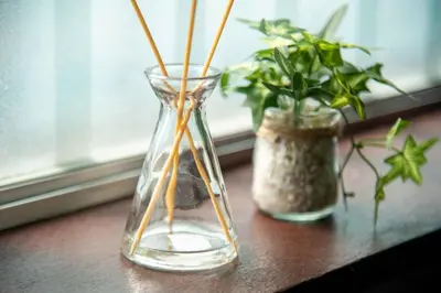 two vases sitting on a window sill with plants at 25\u5e74\u30d5\u30eb\u30ea\u30ce\u30d9 7\u6708\u65b0\u30aa\u30fc\u30d7\u30f3 \u6700\u59278\u4eba \u8cb8\u5207 \u845b\u897f\u99c5\u5f92\u6b6912\u5206 3\u30d9\u30c3\u30c9\u30eb\u30fc\u30e0 46\u5e73\u7c73\u3067\u3054\u5bb6\u65cf\u6700\u9069 in Tokyo