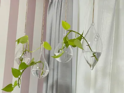 four wine glasses hanging from a window with a plant at Shitamachi Shin-Koiwa 201 in Tokyo