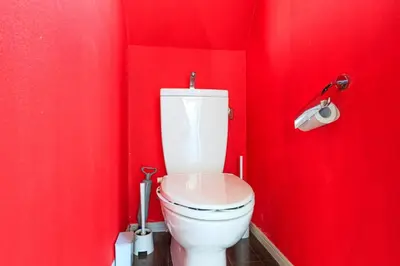 a red bathroom with a toilet in a red wall at DM Hotel in Tokyo
