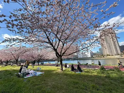 people sitting in the grass under a tree in a park at Adachi-ku - House - Vacation STAY 19179 in Tokyo
