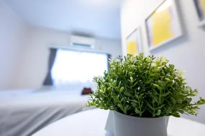 a green plant in a white pot sitting on a table at Kodenmacho Building Room 201 - Vacation STAY 38292v in Tokyo