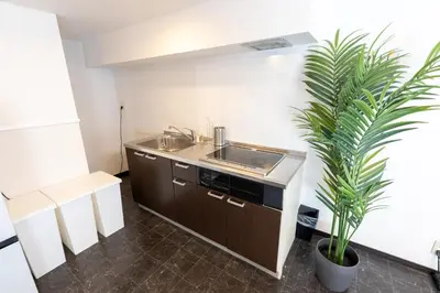 a kitchen with a sink and a potted plant at Kodenmacho Building Room 201 - Vacation STAY 38324v in Tokyo
