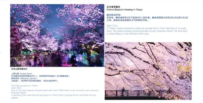 a page of a book with a picture of a tree at NDZ403 3 min walk to station, 2 lines, Yamanote line to explore Tokyo, high-speed Wi-Fi in Tokyo