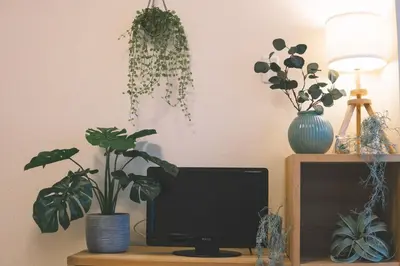 a computer monitor sitting on a desk with plants at Kabukicho 507-SJ0011 in Tokyo