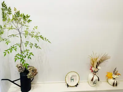 a shelf with two vases and a mirror and plants at Uenoyuyunoie - Vacation STAY 19367 in Tokyo