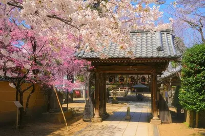 a pavilion with a tree with pink flowers on it at Hotel iemirai Araiyakushi - Shinjuku 9min train ride in Tokyo