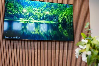a tv on a wall with a picture of a lake at Gold HOTEL SHIBUYA in Tokyo