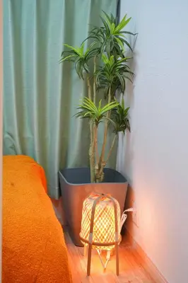 a large pot with plants in it next to a bed at miraisya kyojima in Tokyo
