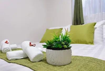 a bed with towels and a potted plant on it at Joy \u4e1c\u4eac\u6674\u7a7a\u5854 in Tokyo