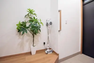 a potted plant sitting on a table in a room at Higashi-Ikebukuro-5dk-TS0456 in Tokyo