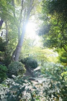 a path in a park with trees and leaves at Jetset haneda 105 in Tokyo