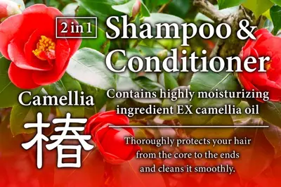 a poster of a red flower with the words champion and contender at SC 202 Cozy Private Stay with Loft Near Station Free WiFi in Tokyo