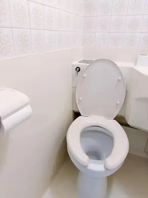 a bathroom with a white toilet and a roll of toilet paper at \u30b5\u30af\u30e9\u30b7\u30e3\u30c9\u30a6\u6771\u6c60\u888b in Tokyo