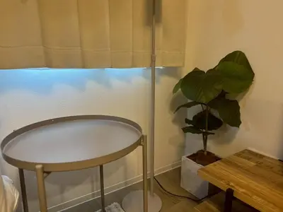 a table and a plant in a room with a window at La Residence East Tokyo301 - Vacation STAY 19857 in Tokyo