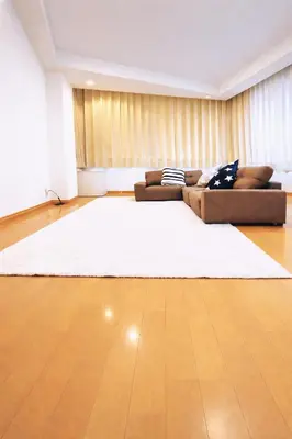 a living room with a couch and a white rug at \u6771\u4eac\u90fd\u5fc3 \u6751\u4e0a\u7fa9\u7537\u8a2d\u8a08 112\u5e73\u7c73\u9ad8\u7d1a\u8c6a\u90b8 \u5b8c\u5168\u8cb8\u5207 \u6c60\u888b\u96fb\u8eca6\u5206 \u65b0\u5bbf\u6e0b\u8c37\u76f4\u901a \u6620\u753b\u9928 WiFi12\u4eba WAGAMAMA\u5c0f\u7af9\u5411\u539f3\u968e in Tokyo