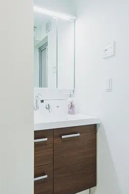 a bathroom with a sink and a mirror at Hotel Shunkashuto Sakura 1 min to station in Tokyo
