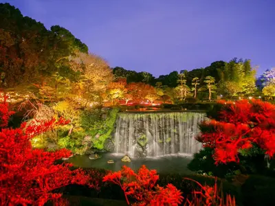 a waterfall in a park at night with red trees at Hotel New Otani Tokyo EXECUTIVE HOUSE ZEN in Tokyo