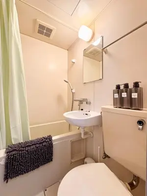 a small bathroom with a toilet and a sink at torico takinogawa in Tokyo