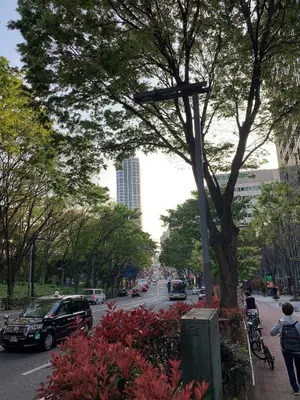 a city street with a tree and cars on the road at Shibuya Star 102-4 mins to Shinjuku-Free WiFi in Tokyo