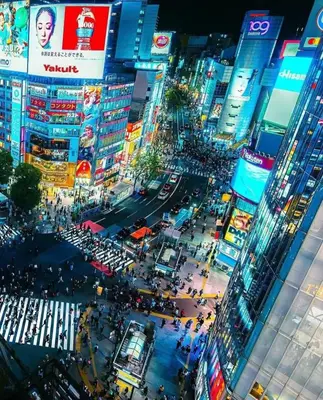 a busy street in a city at night at Shinjuku city\u897f\u65b0\u5bbf in Tokyo