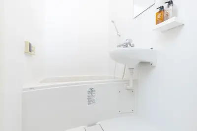 a white bathroom with a sink and a mirror at Tiare Home MOTOHASUNUMA in Tokyo