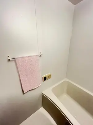 a bathroom with a bath tub and a pink towel at Tiare Home MOTOHASUNUMA in Tokyo