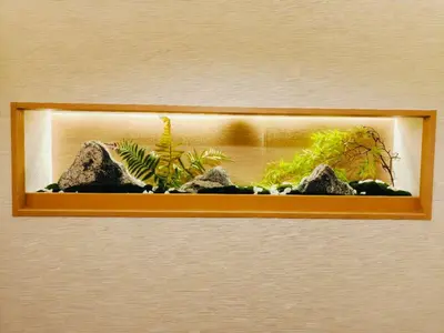 a picture of a aquarium with rocks and plants at A2 Shinjuku JR St 8 mins 3 bedrooms and 1 living room 2bathrooms 2toilets Max 12P Direct to Shinjuku Ueno Ginza Shibuya Ikebukuro Yoyogi Shinagawa \u65b0\u5bbf\u533a \u9ad8\u7530\u9a6c\u573a\u8f66\u7ad98\u5206\u949f 3\u5ba41\u53852\u6d74\u5ba42\u536b\u751f\u95f4 \u6700\u592712\u4eba in Tokyo