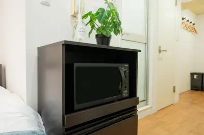 a tv on top of a dresser with a plant at Newly opened! 4 minutes on foot from Shin-Okubo station in Tokyo