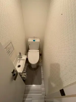 a small bathroom with a toilet and a sink at \u8d64\u5742\u30db\u30b9\u30c6\u30eb in Tokyo