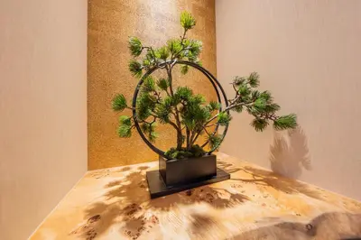 a plant sitting on top of a table at \u4eac\u6708Kyogetsu in Tokyo