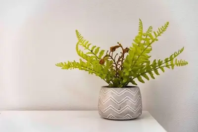 a green plant in a vase sitting on a table at lkebukuro-Five palace in Tokyo