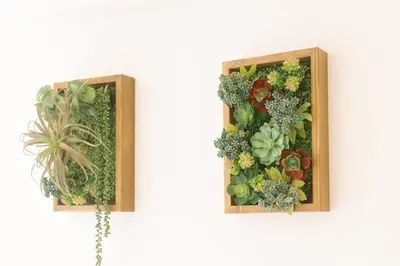 two pictures of plants in wooden frames on a wall at 8min walk from Shibuya Sta in Tokyo