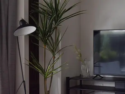 a plant in a living room next to a tv at \u30b5\u30f3\u30e2\u30fc\u30eb\u30af\u30ec\u30b9\u30c8607 in Tokyo