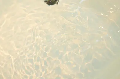 a close up of water with ripples in it at \u30de\u30a4\u30b0\u30ec petit \u6e0b\u8c37\u539f\u5bbf in Tokyo