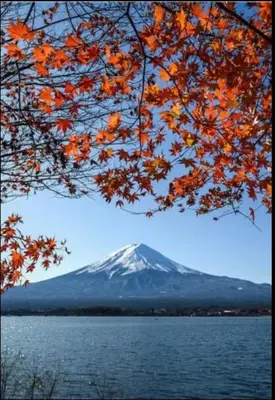 a snow covered mountain in the distance with a tree at THE\u6771\u4eac\u65c5\u9928 \u99c51\u5206 \u7fbd\u7530\u7a7a\u6e2f\u6210\u7530\u7a7a\u6e2f\u76f4\u901a \u8fd1\u6771\u4eac\u30b9\u30ab\u30a4\u30c4\u30ea\u30fc\u8fd1\u6d45\u8349\u4e0a\u91ce wifi 5\u4eba\u5b8c\u5168\u8cb8\u51fa WAGAMAMA SKY in Tokyo