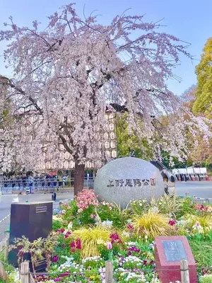a sign in front of a tree with flowers at 365Ueno in Tokyo
