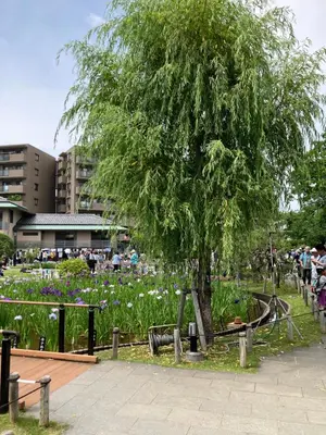 a tree in a park with people standing around it at Realization INN Horikiri in Tokyo