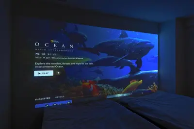 a screen with a picture of a shark in a aquarium at V Close to Shinjuku Kabukicho Korean Town FrWIFI B in Tokyo